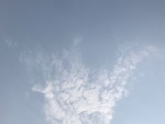 -上海望仙安息园