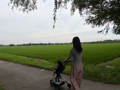 -嘉北郊野公园
