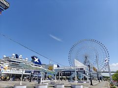 -大阪海游馆