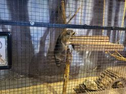 -酷嗒动物文化乐园(cutezoo西溪乐天城店)