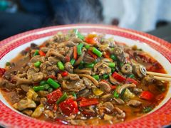 -上海浦东康桥绿地假日酒店