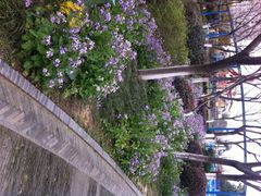 iphone_upload_pic-荆川公园