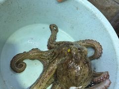-阿军排档·烧烤