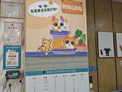 -瑞派名望志远动物医院·猫科·內科·异宠专科(直港大道店)
