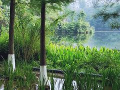 -重庆彩云湖湿地公园