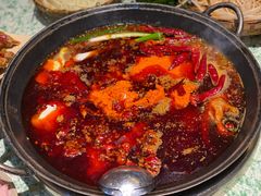 -五里关火锅(牛市口店)