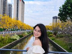 -万江图书馆