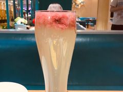 -青瓷火锅料理(西单大悦城店)