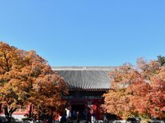 -香山公园