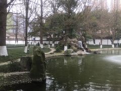 -温江公园