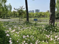 -复旦大学江湾校区食堂