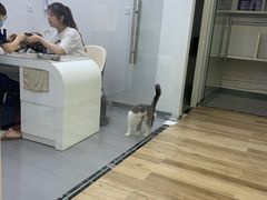 -拜鲁耶动物诊疗中心·宠家动物医院