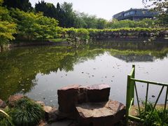 -嘉定紫藤园