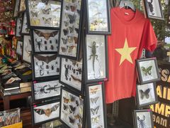 -胡志明市美术馆