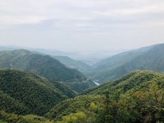 -四明山国家森林公园