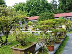 -庐山风景区花径公园