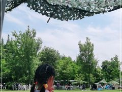 -上海长兴岛郊野公园