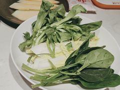 -杨氏青龙虾·羊蝎子(托乐嘉店)