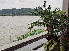 -湖畔居茶楼(湖滨店)
