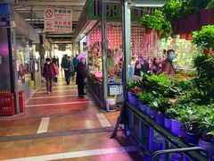 -朝来春花卉市场