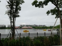 -上海长兴岛郊野公园