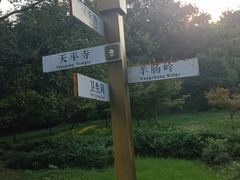 -灵岩山风景区