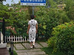 -蘇河湾·新鲁菜·泰山宴(泰山店)