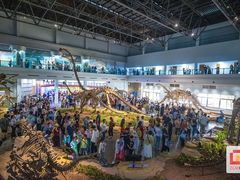 -自贡恐龙博物馆