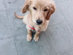 -太原东方动物医院(小店分院)