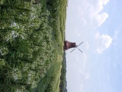 香薰山谷-紫颐香薰山谷景区