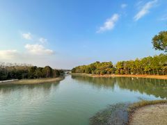 -上海海湾国家森林公园