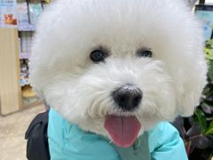 -美联众合动物医院·24h转诊中心