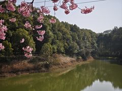 -凤凰沟景区