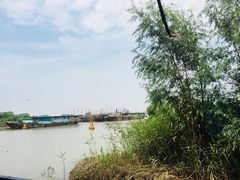 -洪泽湖湾