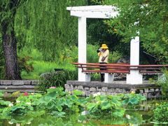 -国家植物园南园