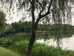 -尚贤河湿地