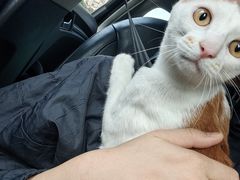 -爱诺耐芙动物医院(万博店)