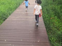 -东郊湿地公园