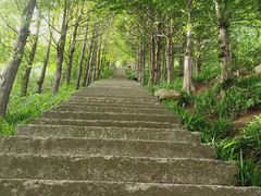 -东白山