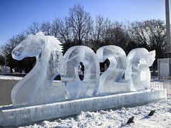 -沈阳奥体冰雪嘉年华