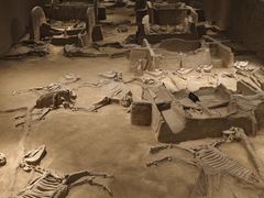 -洛阳周王城天子驾六博物馆