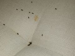 -安德鲁户外烧烤帐篷营地(马泉营店)