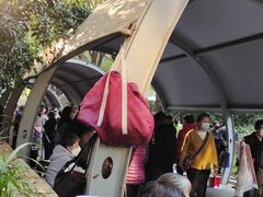 -人民公园-相亲角
