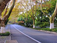 -北山街历史文化街区