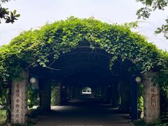 -西安外国语大学(长安校区)