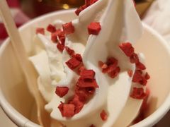 酸奶冰淇凌-西贝莜面村(金隅嘉品mall店)