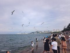 -幸福门