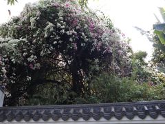 -深圳国际园林花卉博览园