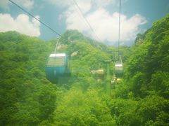 -王顺山国家森林公园