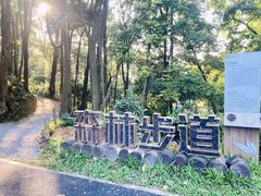 -广州市帽峰山景区